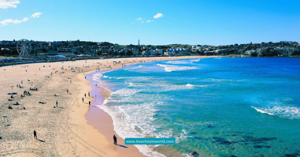 Bondi Beach