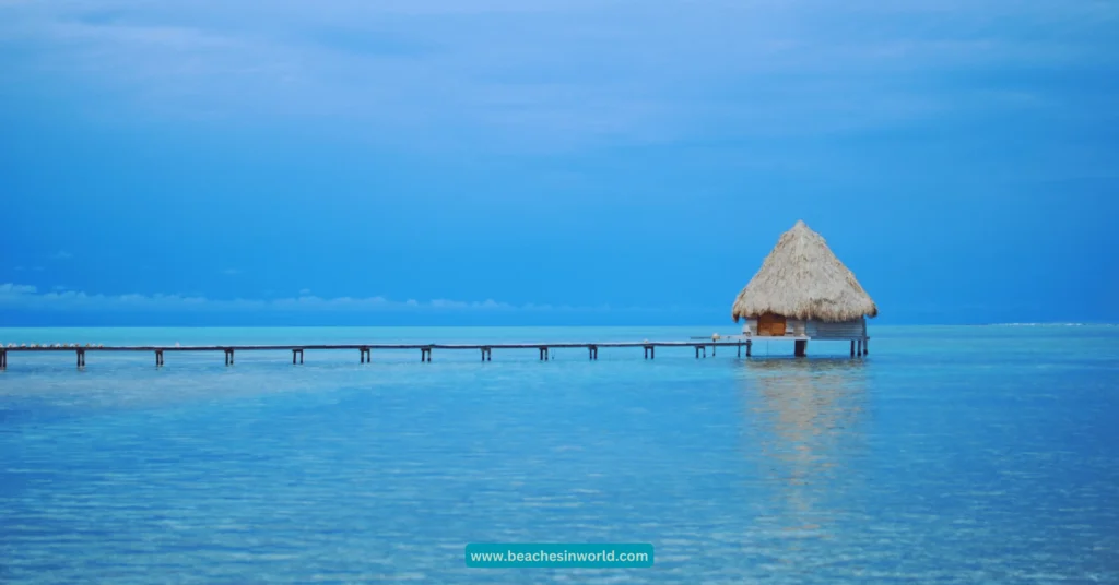 Glover’s Reef Atoll