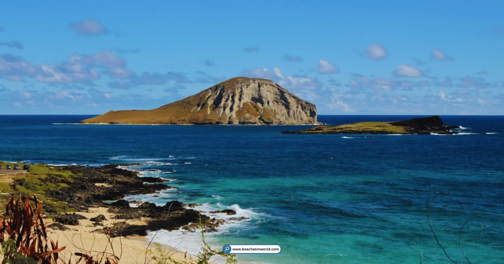 Makapu’u Beach