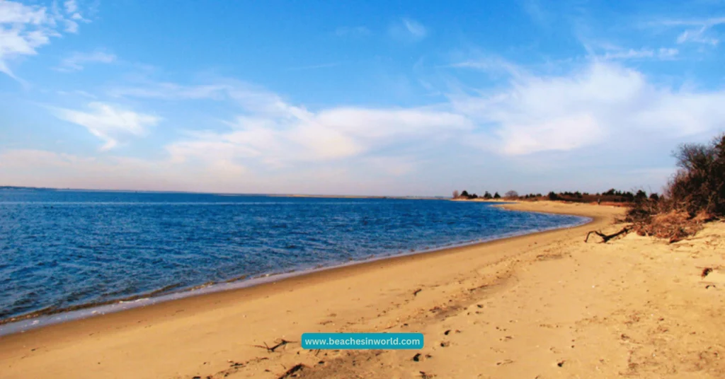 Sandy Hook Beach