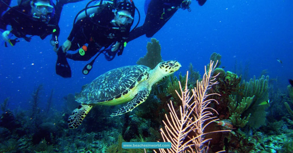 South Water Caye