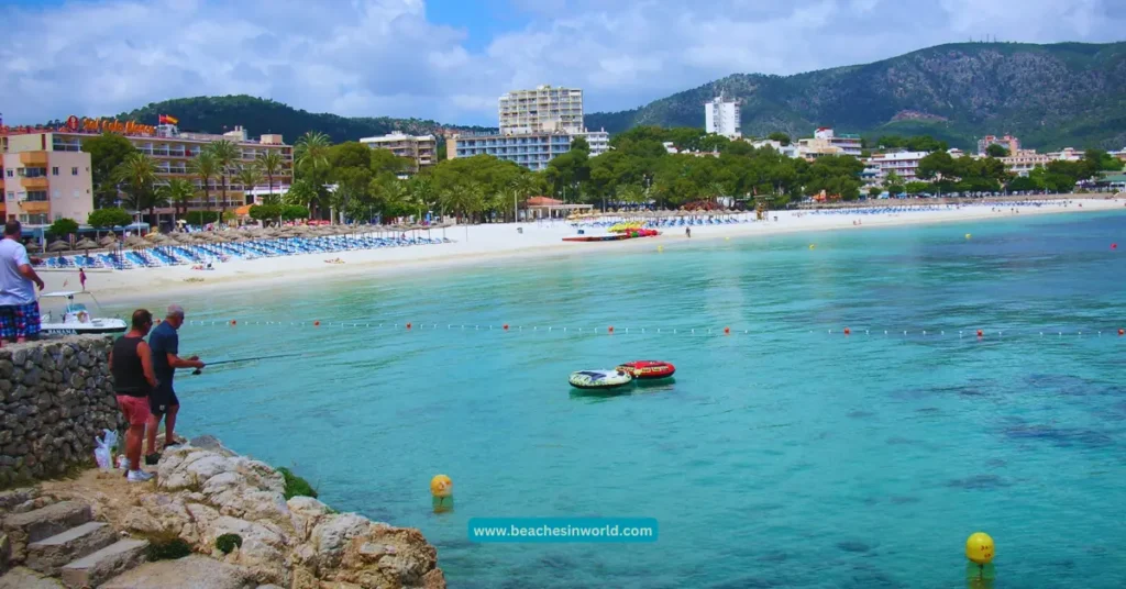 palma nova beach