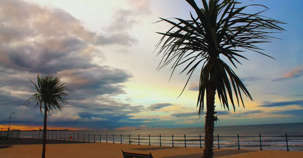 seaton carew beach